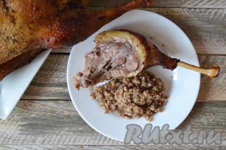 Разложить по тарелочкам ароматную и вкусную гречку с нежнейшим и сочным мясом гуся, подать на стол в теплом виде.
