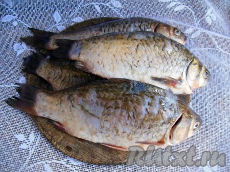 Свежих карасей очистите от чешуи и внутренностей, удалите из головы жабры. Хорошо промойте под проточной водой, удалите черную пленочку внутри карасей (она дает горечь рыбе).