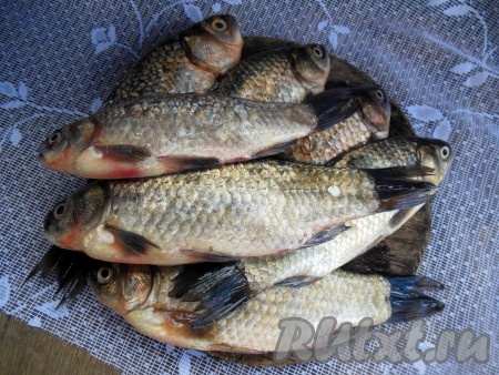 Карасей очистите от чешуи и внутренностей. Удалите жабры, отрежьте голову. Плавники с хвостом тоже отрежьте (они нам не понадобятся). Тщательно промойте рыбу под проточной водой.