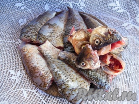 Карасей очистите от чешуи и внутренностей. Удалите жабры, отрежьте голову. Плавники с хвостом тоже отрежьте (они нам не понадобятся). Тщательно промойте рыбу под проточной водой.