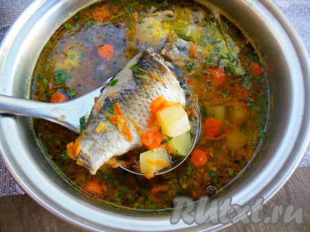 Дайте закипеть, уменьшите огонь и проварите минуту-две, снимите суп с плиты. Готовую уху из карасей оставьте немного настояться и можно подавать к столу.