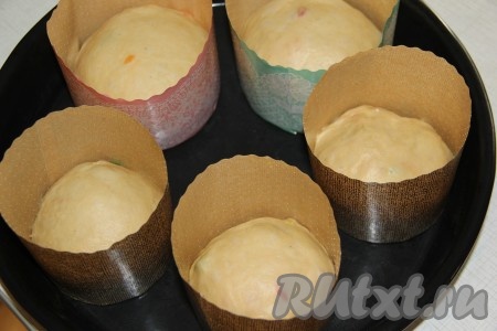 Выложить тесто в формы, заполняя их на половину объёма. Я использовала бумажные формы для выпечки куличей. Оставить тесто на 1 час в тепле, накрыв формы полотенцем.
