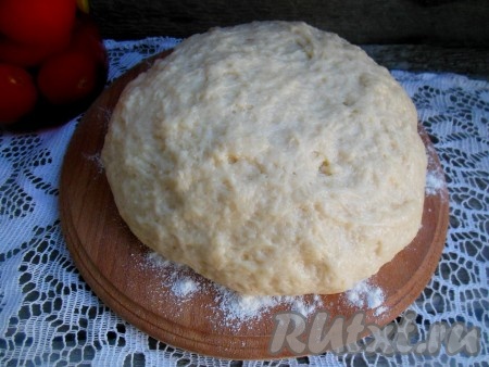 Замесите тесто. Оно выходит липким, мягким, кажется, что нужно еще добавить муки, но лучше этого не делать (не забивайте тесто). По виду тесто слегка напоминает песочное. Уберите тесто в холодильник на 10-15 минут (не забудьте его обернуть пищевой пленкой, чтобы не заветрелось).