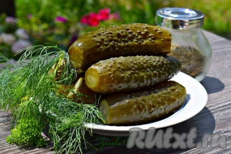 Малосольные огурцы с чесноком и укропом в рассоле в кастрюле