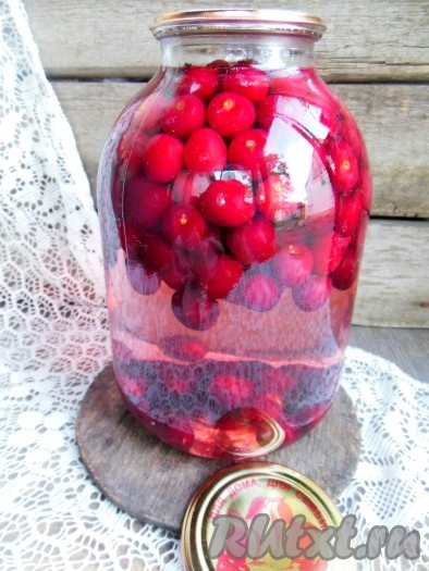 Банку поставьте на полотенце и заливайте горячий сироп до самой верхушки, накройте банку крышкой и закатайте.
