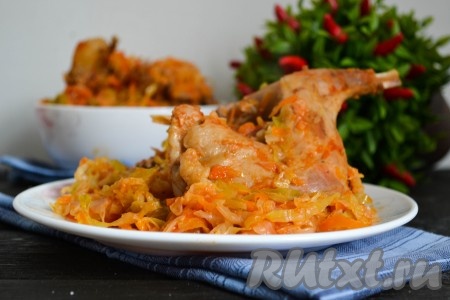 Нежнейшее мясо кролика выложить на блюдо вместе с тушеной капустой и подать на стол в теплом виде.
