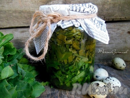 Под воздействием кипятка природный зеленый цвет, постепенно превратится в "болотный". Баночку переверните и укутайте на пару суток. Затем отправьте на хранение в прохладное место (холодильник или погреб). Щавель в банках, заготовленный без стерилизации, - отличная домашняя консервация на зиму для рачительной хозяйки, борщи получается таким же вкусными, как и из свежего щавеля.
