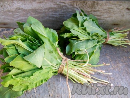 Для консервирования на зиму я беру вот такие пучки щавеля.