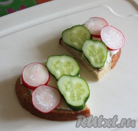 Сверху выложить нарезанные тонкими кружочками свежий огурец и редис.
