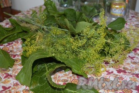 Банки для маринованных огурцов стерилизую так: в банку кладу столовую ложку, для того чтобы банка не лопнула (ложка забирает на себя часть температуры воды) и наливаю кипяток (примерно 1 стакан), трясу банку, чтобы кипяток обдал стенки банки по всему периметру, затем окунаю уже прогретую банку в тазик с кипятком и прокручиваю ее, чтобы все стенки обдались кипятком. Банку вынимаю из кипятка - всё, она готова к закатке. На дно банки выложить листья хрена, несколько листиков смородины и вишни, 1 зонтик укропа, 1 лавровый лист.
