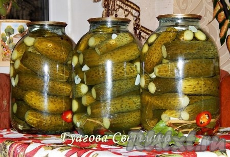 Залить огурцы кипятком, прикрыть сверху крышками для закатки (крышки предварительно надо прокипятить в течение нескольких минут) и оставить прогреваться на 25-30 минут.
