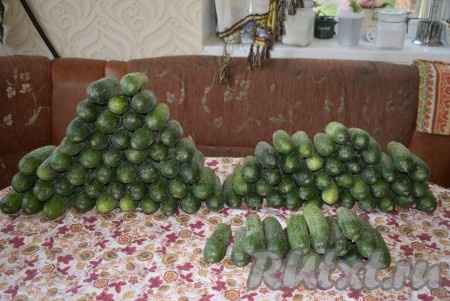 Огурцы сортировать по размеру.
