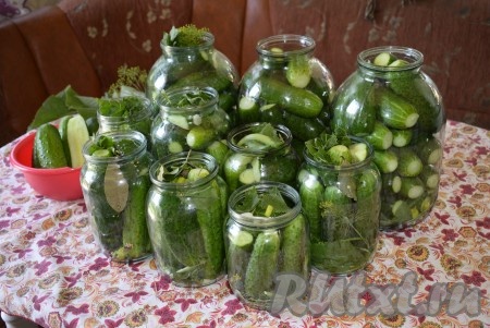 Заполнить подготовленные банки огурцами, выкладывая их плотно друг к другу. В огурцы насыпаю 1 чайную ложку горчичного порошка или семян горчицы (горчица поможет продезинфицировать огурчики). Поверх огурцов выложить 1 зонтик укропа, 1 лавровый лист, оставшиеся листья смородины и вишни.
