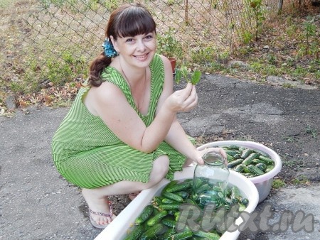 Огурцы замочить на 5-6 часов в холодной воде. Затем вымыть и обрезать носики с двух сторон огурчиков.
