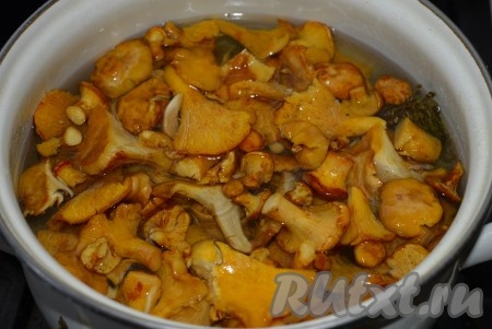 Подготовленные лисички опускаем в рассол.
