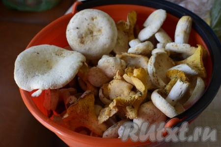 Собранные лесные грибы сортируем по видам.