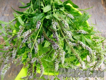 Положите на дуршлаг, чтобы стекла жидкость.