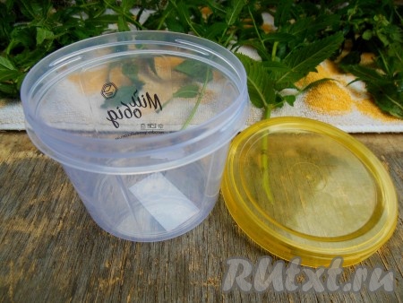 Для заморозки мяты я использую вот такой пластиковый контейнер, можно брать любую подходящую форму.