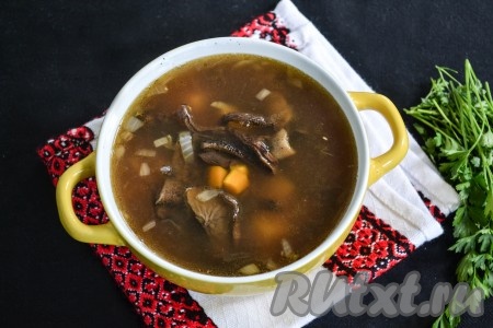 Насыщенный, с умопомрачительным ароматом грибной суп из сушеных грибов, приготовленный в мультиварке, разлить по тарелочкам.

