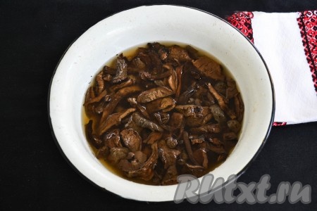 По истечении времени грибы вернутся в свое исходное состояние и отдадут воде все вредные вещества.
