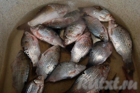 Положить их в воду, промыть.
