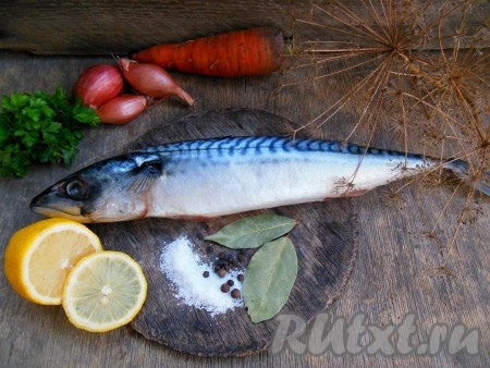 Для приготовления отварной скумбрии я использовала вот такие ингредиенты.