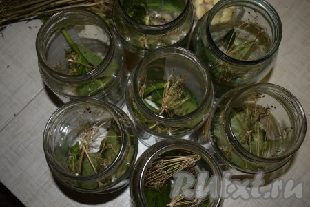 На дно каждой банки выложить листья хрена, листья вишни, зонтики укропа.

