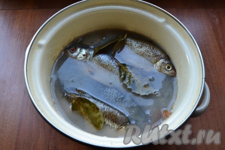 Залить лещей охлажденным маринадом.
