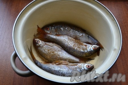 Далее в кастрюлю или большую миску укладывать рыбу, пересыпая ее кориандром.
