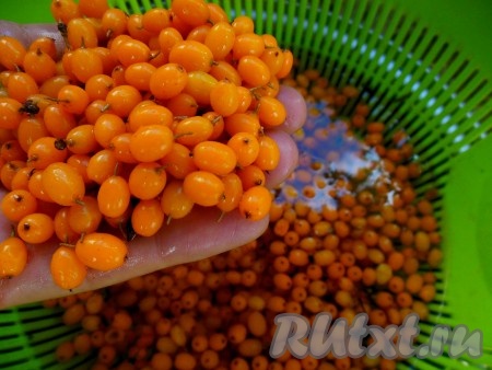 
При помощи ладошки соберите чистые ягоды и переложите их в миску.