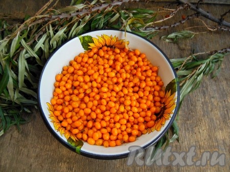 С каждой веточки снимите ягодки. Веточки не выбрасывайте, нарежьте их с листочками и посушите. Зимой можно заваривать чай.
