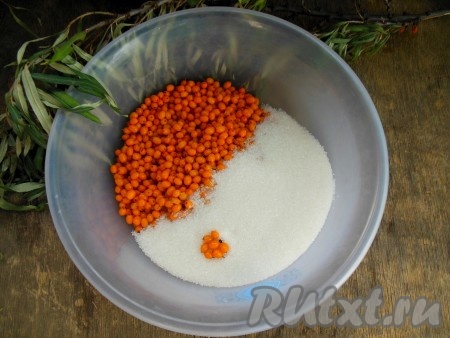 Возьмите глубокую миску, насыпьте в нее ягоды облепихи и сахар.
