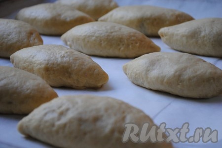 На противень, застеленный пергаментом, выложить пироги с грушами швом вниз и оставить их в тёплом месте минут 10. Затем пирожки смазать взбитым яйцом, поставить в разогретую до 180 градусов духовку, и выпекать минут 25-35 минут (до красивой румяной корочки).
