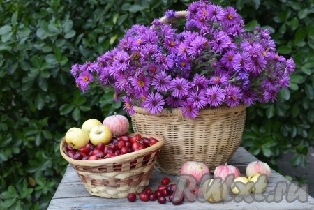 Моем кизил и яблоки.