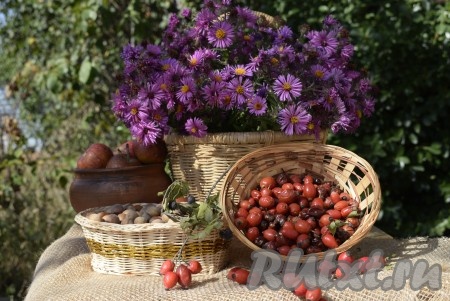 Для всех способов сушки шиповника необходимо перебрать ягоды, убрать гнилые, червивые и порченые ягодки. Очистить ягоды от веточек и чашелистиков. Ягоды шиповника не мыть(!), а если они сильно загрязнены - протереть их бумажным полотенцем.