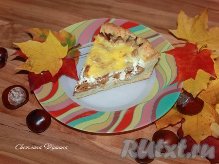 Открытый заливной пирог с лисичками