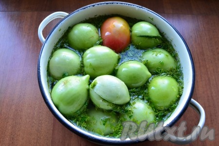 Для приготовления рассола в холодной кипяченой воде растворить соль и сахар, залить рассолом помидоры.
