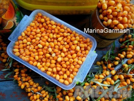 Обязательно заморозьте облепиху на зиму, ведь эти ягоды - настоящий кладезь витаминов.