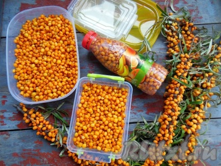 Разложите обсохшие ягоды по контейнерам, закройте крышками, поставьте дату и отправьте в морозилку. Срок хранения такой заготовки около 1 года. Повторно замораживать облепиху не рекомендуется. Если захотите сделать ягоды облепихи с сахаром, их можно разморозить, растолочь или оставить целыми. Сахар в данном случае добавляйте по вкусу.
