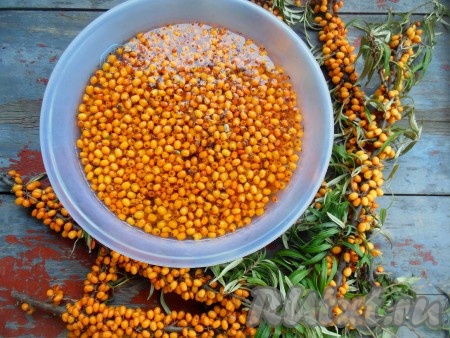 Пересыпьте ягоды в широкую и глубокую миску, налейте воду. Весь мусор, листочки и поврежденные ягоды будут плавать сверху. Для заморозки облепихи необходимо удалить все порченые ягодки, листья, веточки.
