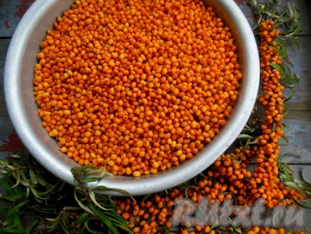 Или уже оборванные ягодки.
