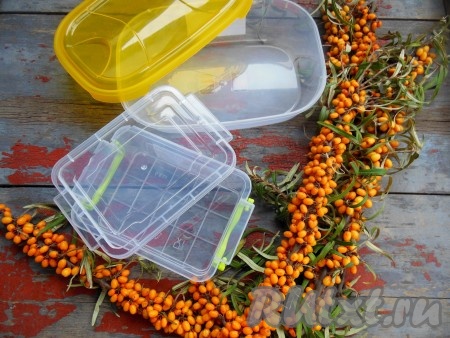 Для заморозки ягод можно использовать пластиковые контейнеры, бутылки, стаканы с крышечками или пакеты.
