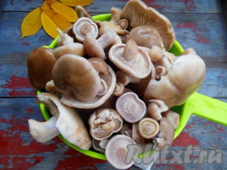 Выложите грибы на дуршлаг и промойте под проточной водой.
