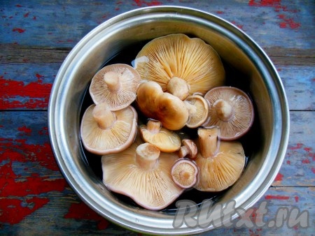 Слишком крупные грибы разрежьте на 3-4 части. Грибы выложите в кастрюлю, залейте холодной водой, поставьте на огонь, доведите до кипения и уменьшите огонь, отварите синеножки в не соленой воде в течение 10-15 минут. Затем воду, в которой варились синеножки, слейте, залейте грибочки чистой водой, снова поставьте на огонь, доведите до кипения и снова отварите в течение минут 10-15.
