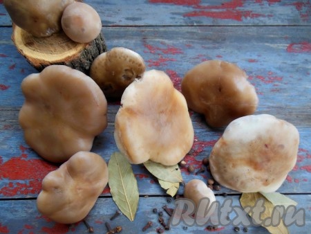 Для приготовления маринованных синеножек на зиму мне понадобились вот такие ингредиенты.
