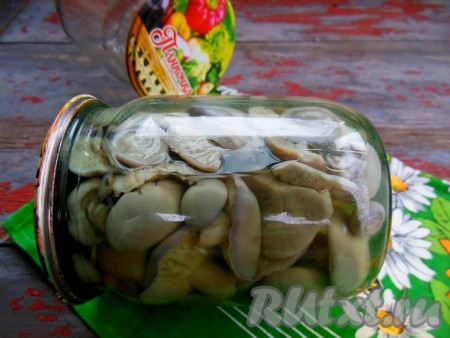 Баночки заполните грибами, залейте кипящим маринадом и закатайте крышки. Грибы должны в баночке лежать не плотно! Укутайте маринованные&nbsp;синеножки до полного остывания. Чтобы попробовать грибы, достаточно дать настояться им около 3-5 дней. Маринованные синеножки отлично подойдут для приготовления салатов, зимой их можно подать, просто смешав с репчатым луком, нарезанным на перья, и полить ароматным маслом.