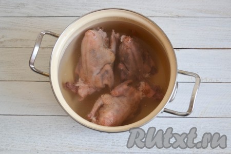 Тушки голубей тщательно вымыть, особенно внутри, и, при необходимости, ощипать остатки перьев. Выложить голубей в кастрюлю и залить холодной водой. Морковь и лук очистить.
