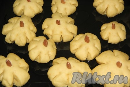 Перед выпеканием вставить в середину каждой булочки орешек. Выпекать тыквенные булочки в разогретой духовке при температуре 200 градусов, примерно, 30 минут.
