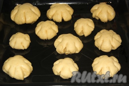 Противень для выпекания смазать растительным маслом. Выложить булочки на противень на некотором расстоянии друг от друга и оставить их в тепле на 1 час.

