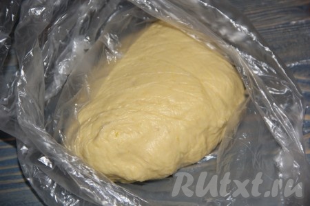 Подошедшее тесто хорошо обмять, переложить в пакет и убрать в холодильник на ночь. Тесто хорошо увеличится, станет нежным и пушистым. С ним очень хорошо работать.
